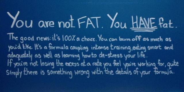 You Are Not Fat, You Have Fat